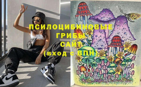 кокаин Богданович