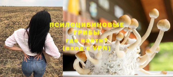 2c-b Богородск