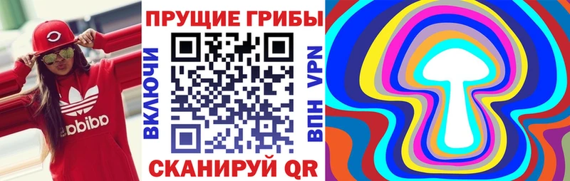Купить где  Набережные Челны  Галлюциногенные грибы мицелий 